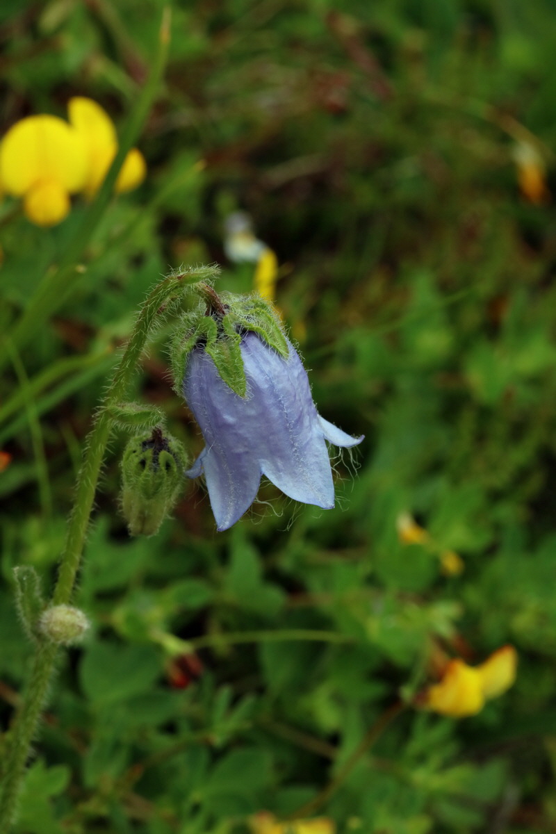 2017_06_28_035828p_Bildgr��e �ndern