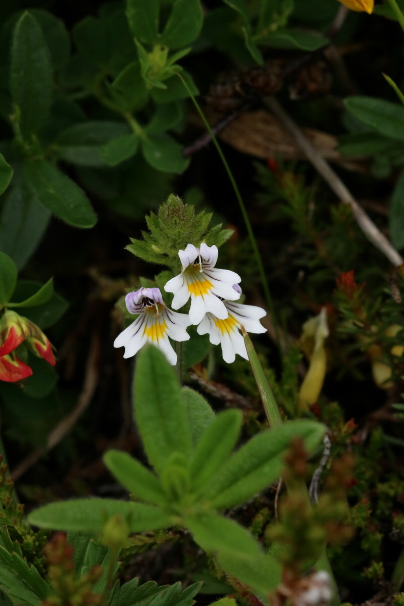 2017_06_28_035832p_Bildgr��e �ndern