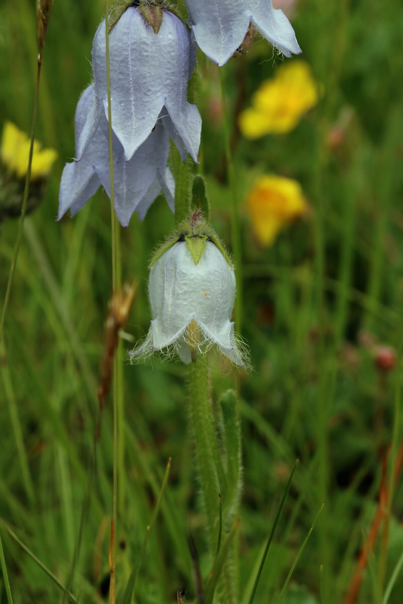 2017_06_28_035838p_Bildgr��e �ndern