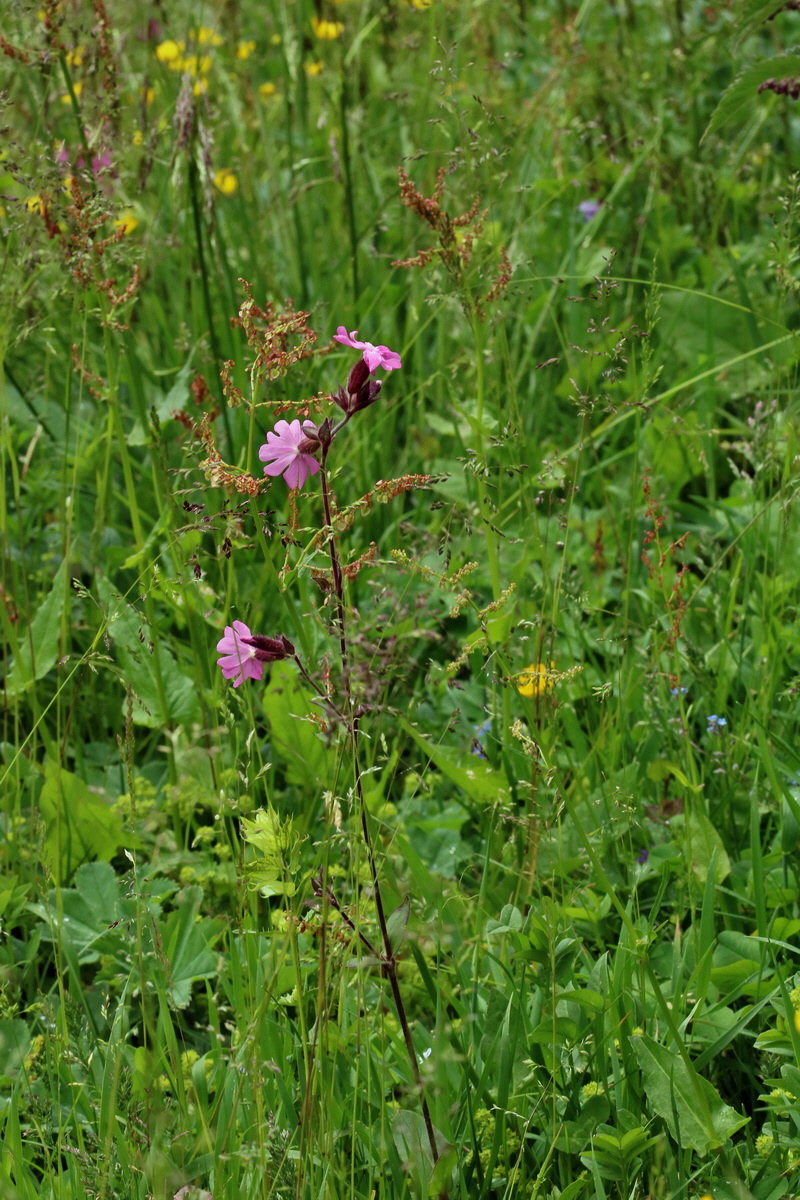 2017_06_28_035841p_Bildgr��e �ndern