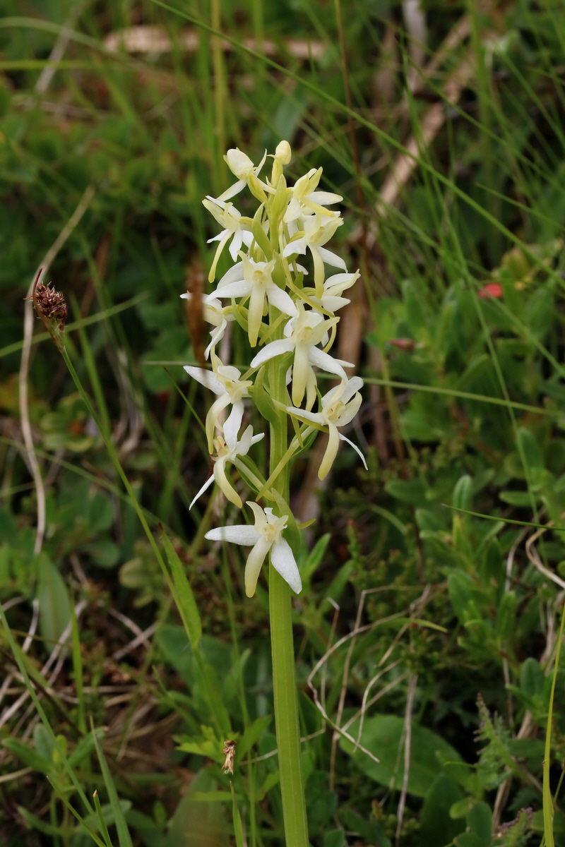 2017_06_28_035847p_Bildgr��e �ndern