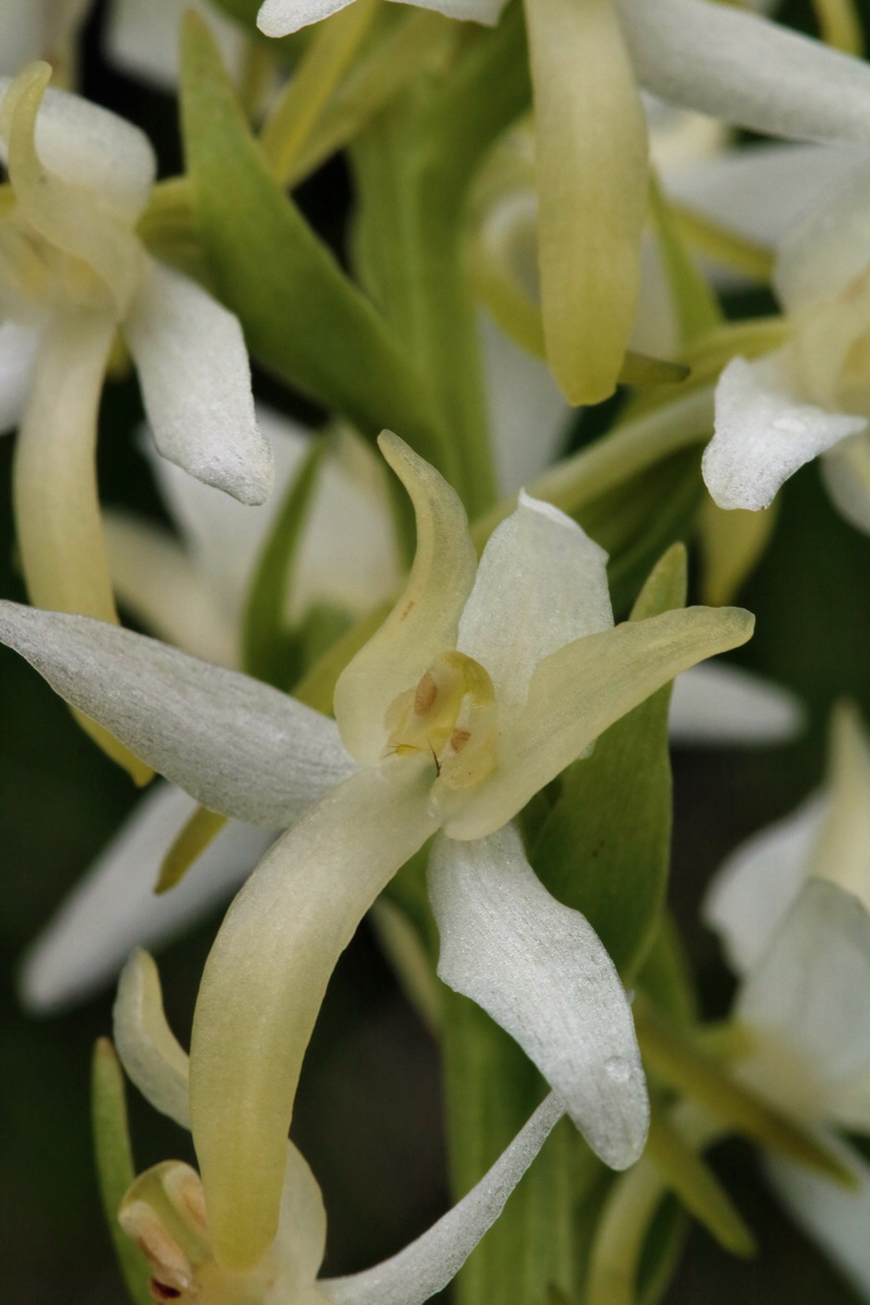 2017_06_28_035869p_Bildgr��e �ndern