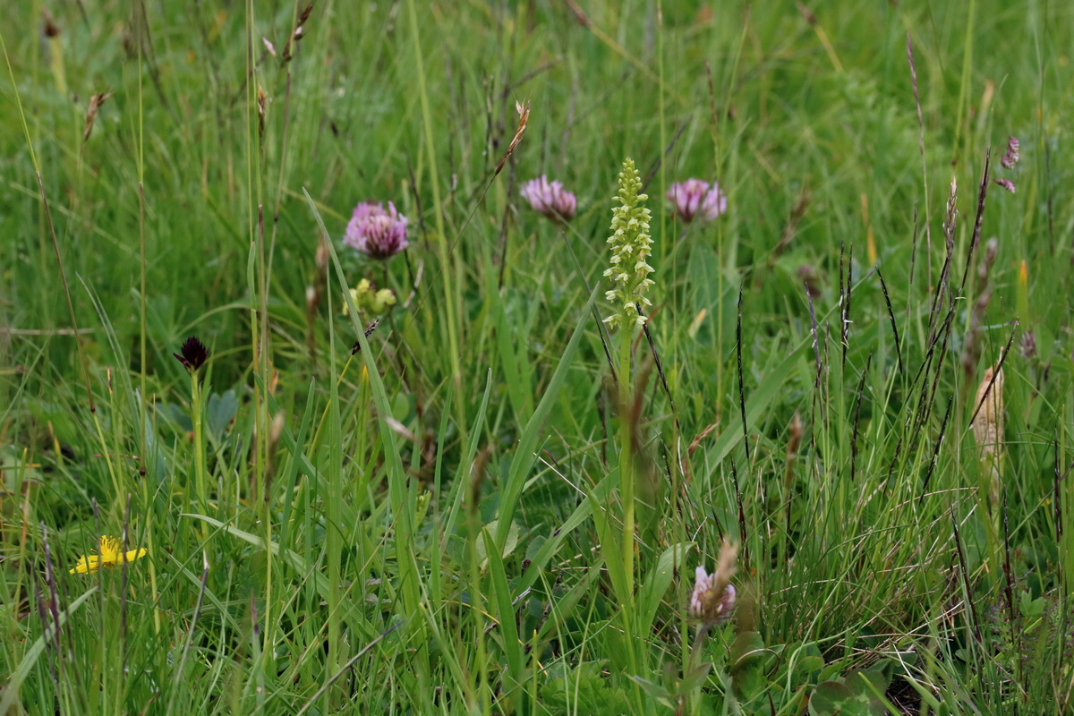 2017_06_28_035876p_Bildgr��e �ndern