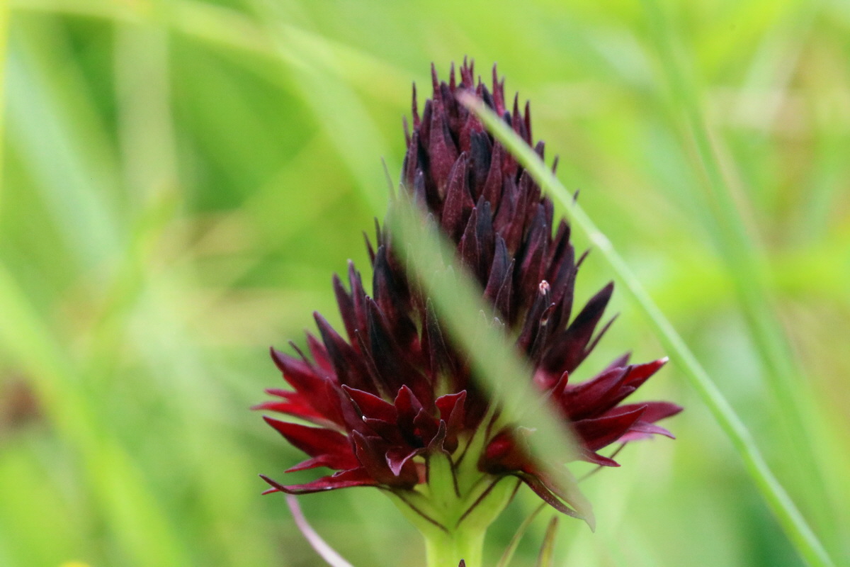 2017_06_28_035879p_Bildgr��e �ndern