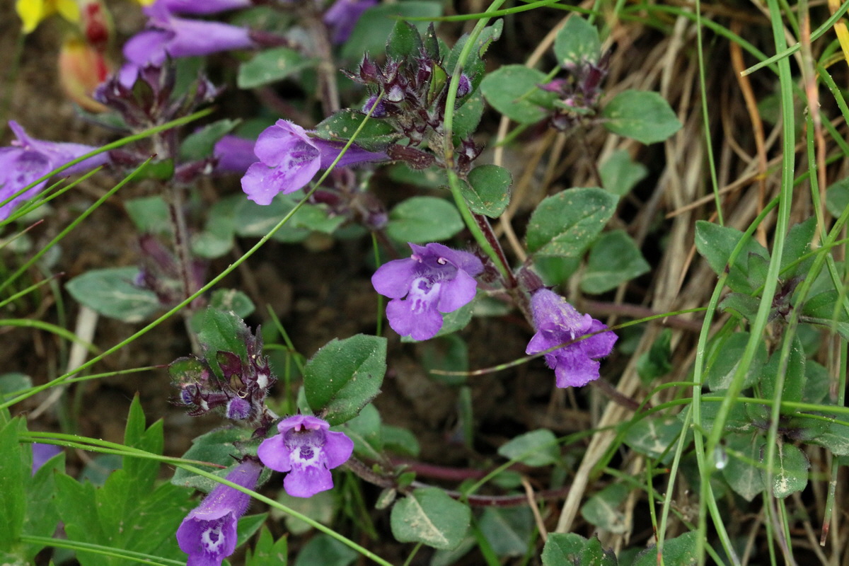 2017_06_28_035899p_Bildgr��e �ndern