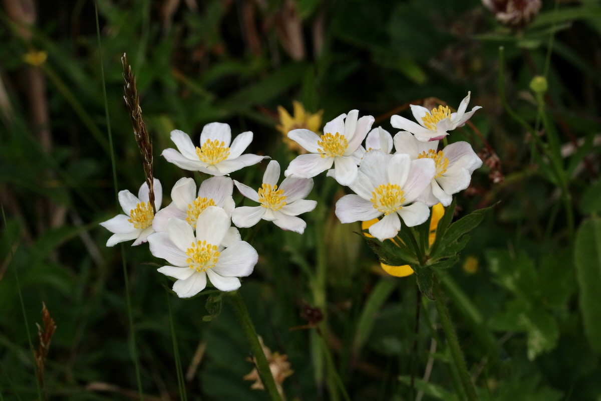 2017_06_28_035966p_Bildgr��e �ndern