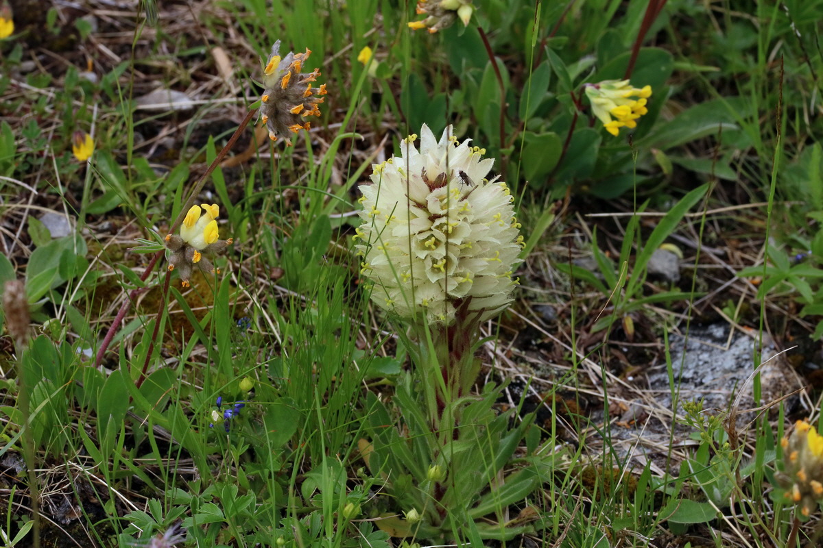 2017_06_28_035969p_Bildgr��e �ndern