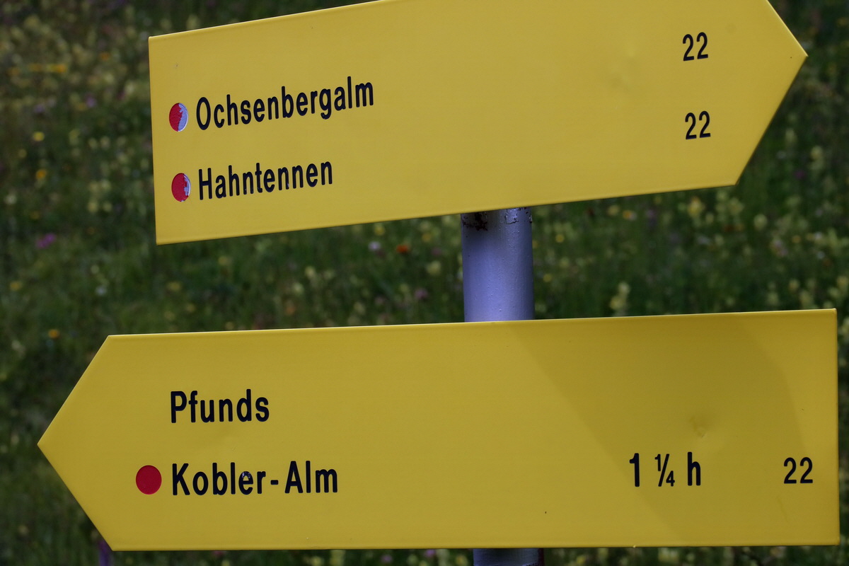 2017_06_28_035972p_Bildgr��e �ndern