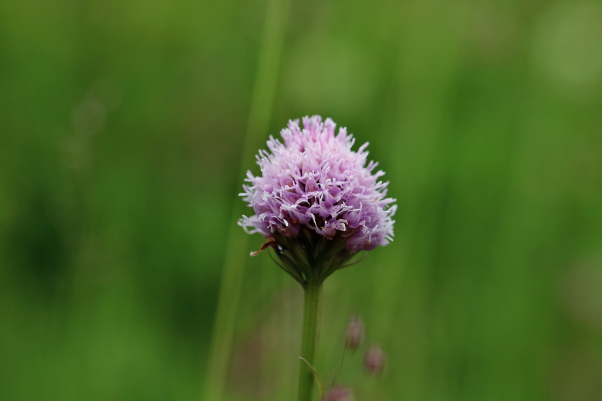 2017_06_28_035989p_Bildgr��e �ndern