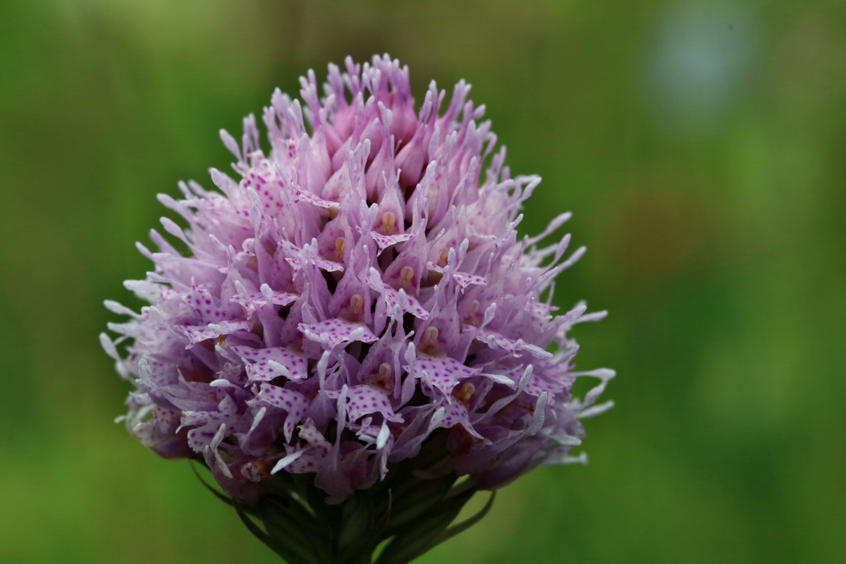 2017_06_28_035998p_Bildgr��e �ndern