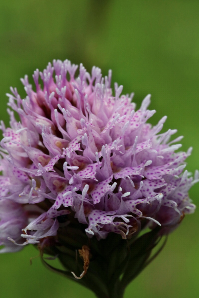 2017_06_28_036006p_Bildgr��e �ndern