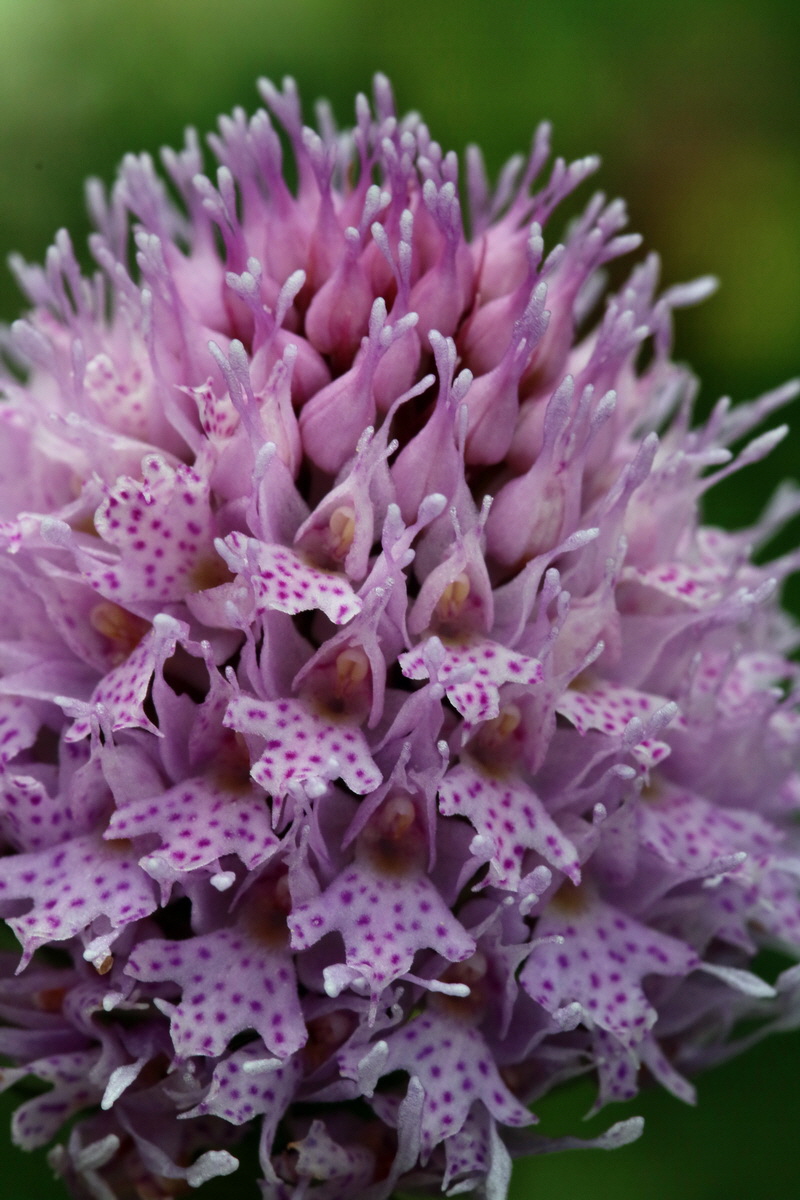 2017_06_28_036012p_Bildgr��e �ndern