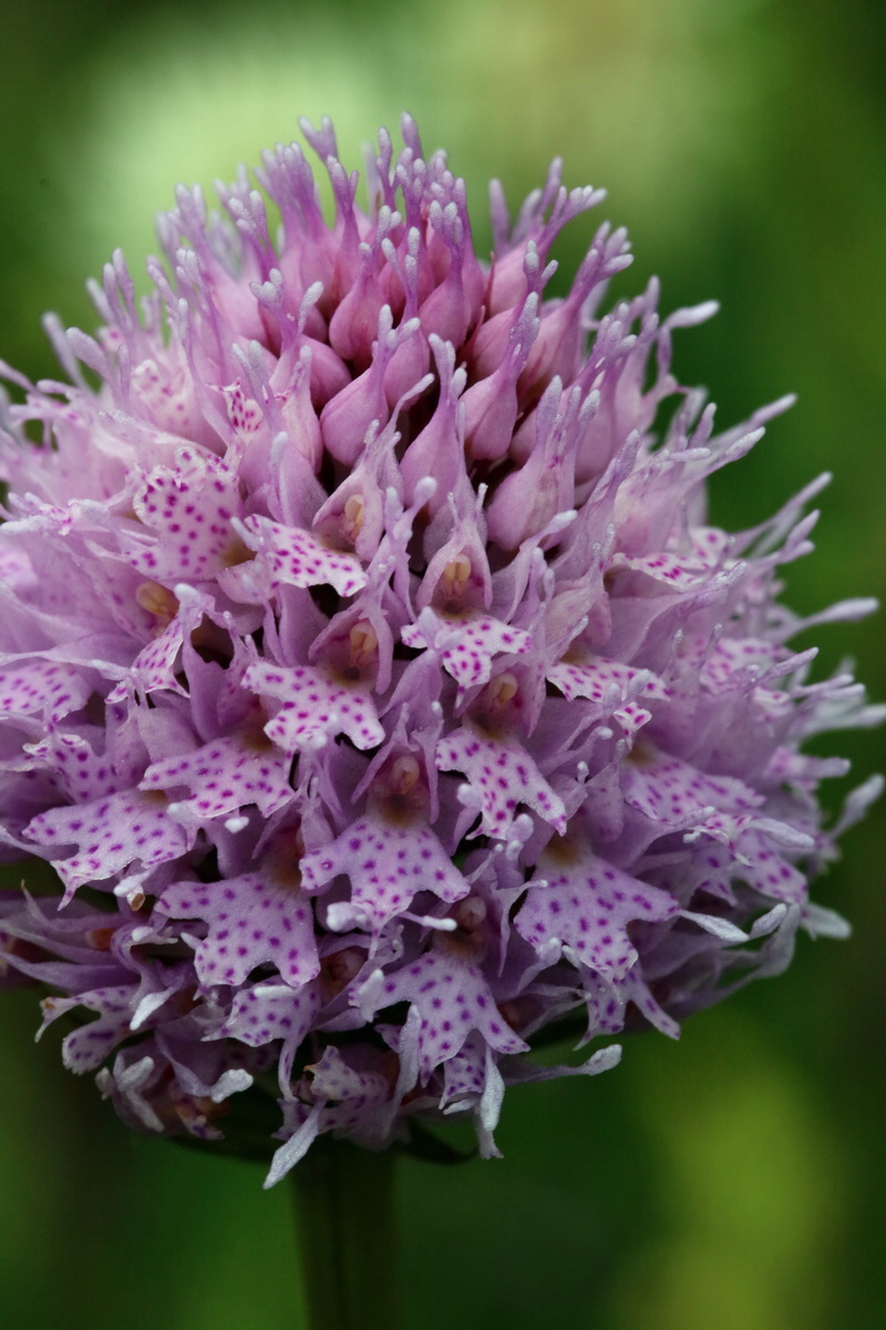 2017_06_28_036030p_Bildgr��e �ndern