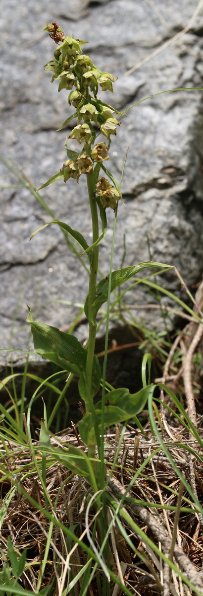 [Group 1]-2017_06_28_035699_2017_06_28_035704-3 images_Bildgr��e �ndern