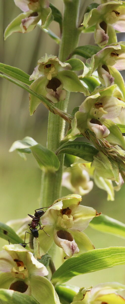 [Group 1]-2017_06_28_035714_2017_06_28_035727-14 images_Bildgr��e �ndern