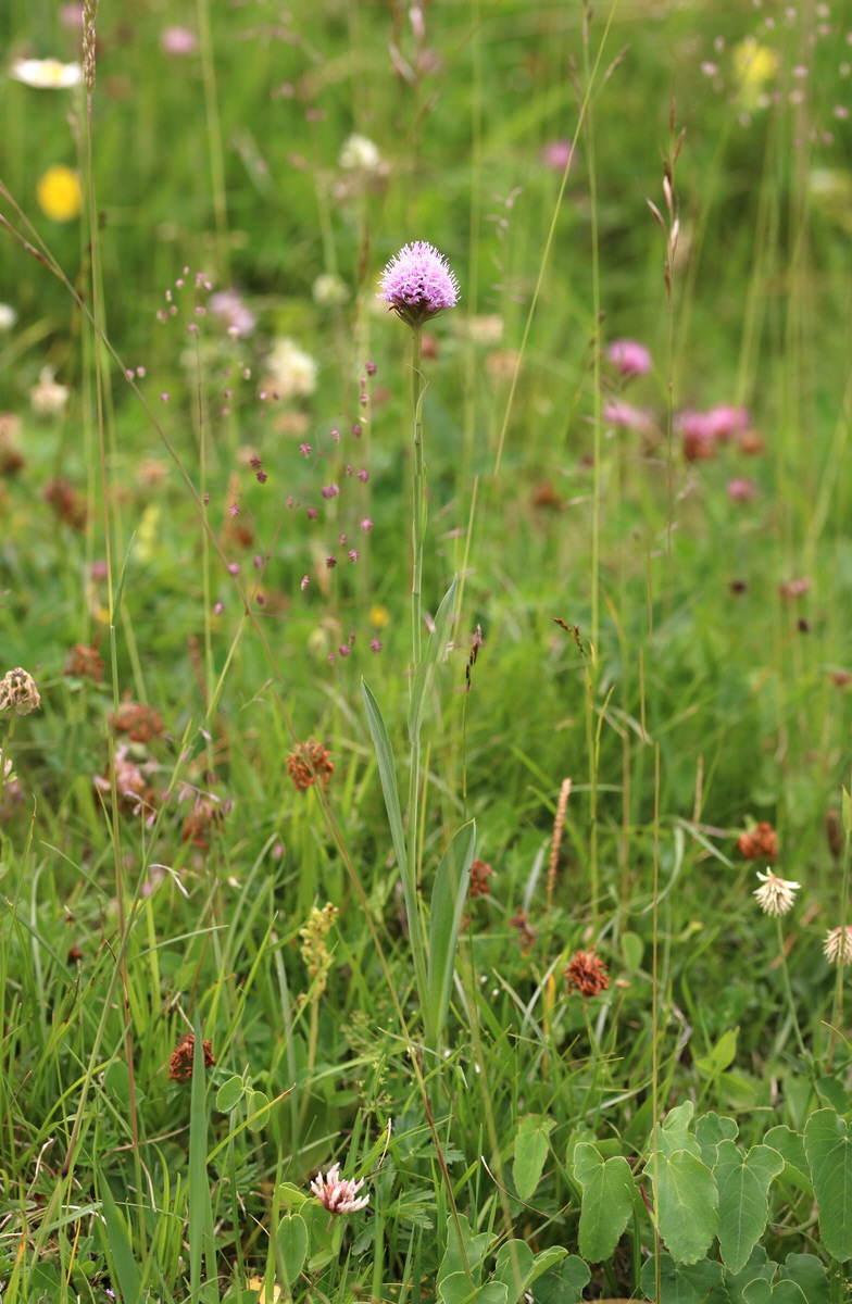 [Group 14]-2017_06_28_035982_2017_06_28_035988-4 images_Bildgr��e �ndern