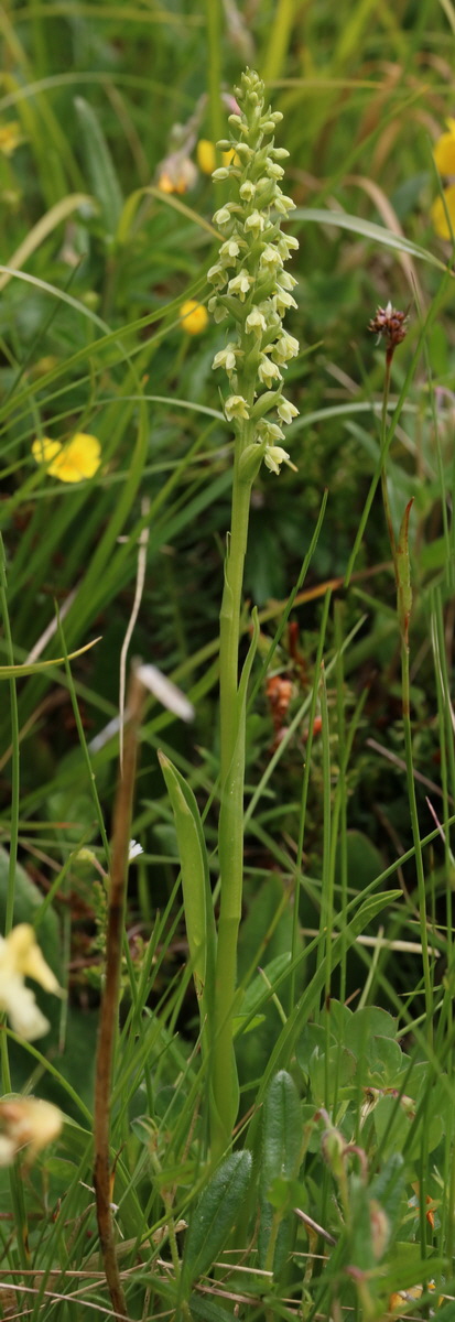 [Group 3]-2017_06_28_035749_2017_06_28_035764-5 images_Bildgr��e �ndern