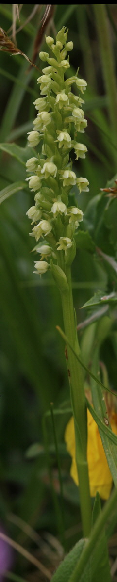 [Group 3]-2017_06_28_035768_2017_06_28_035819-52 images_Bildgr��e �ndern