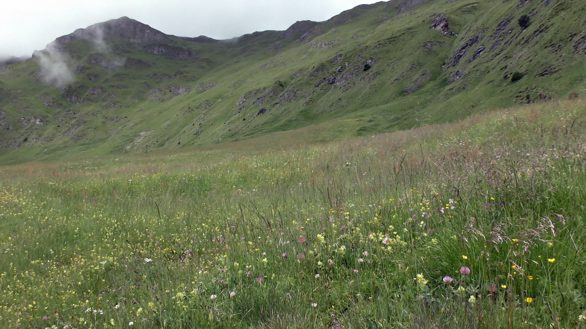 06-28-2017_131553p_Bildgr��e �ndern