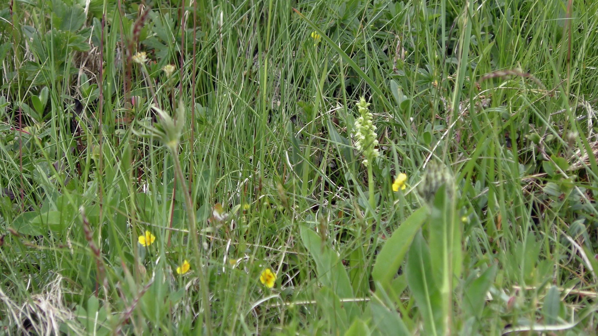 06-28-2017_141251p_Bildgr��e �ndern