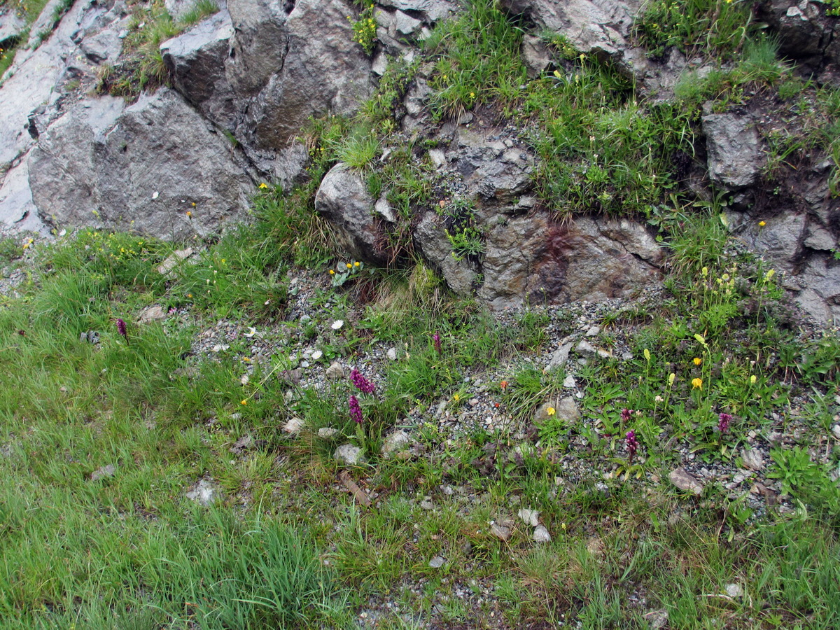 IMG_0152p_Bildgr��e �ndern