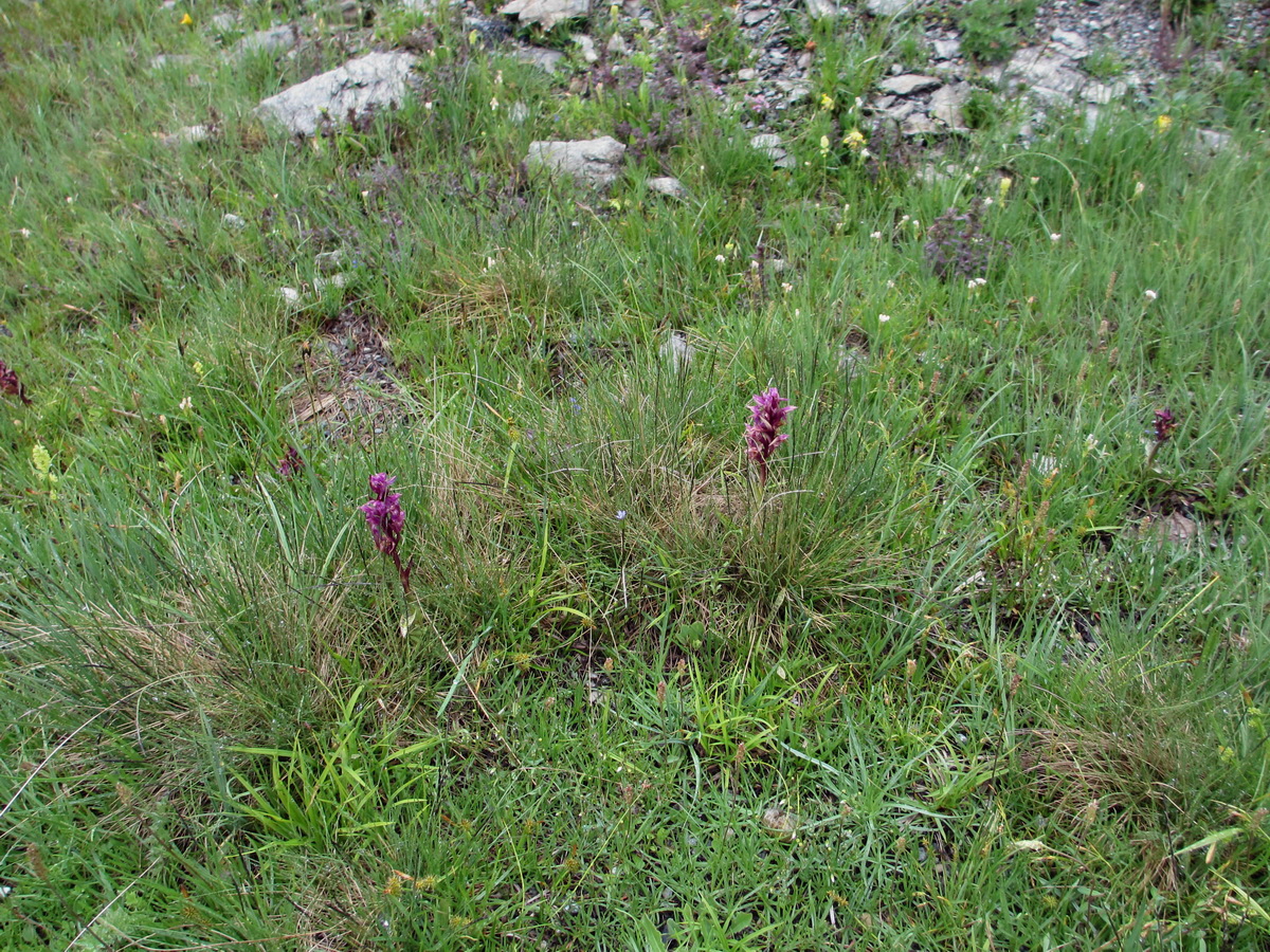 IMG_0154p_Bildgr��e �ndern