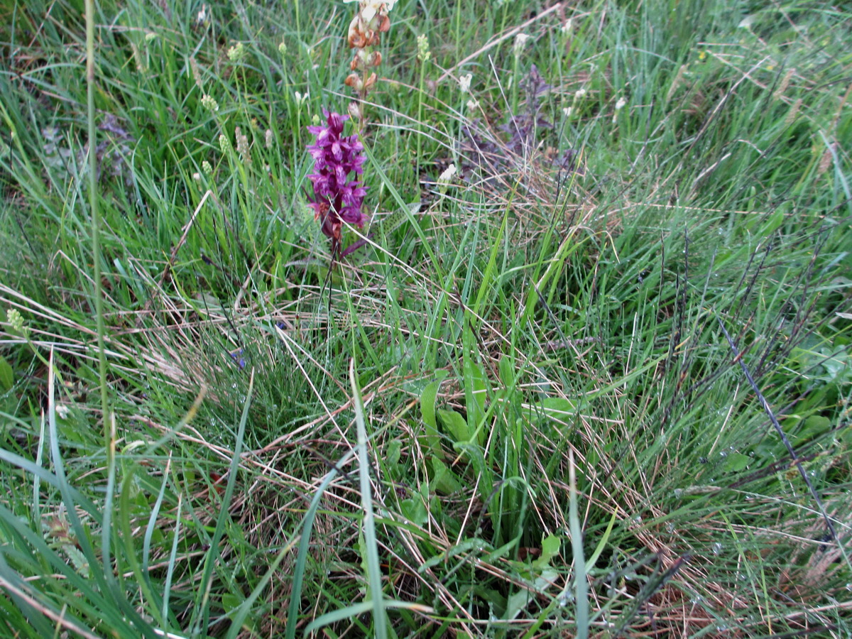 IMG_0157p_Bildgr��e �ndern