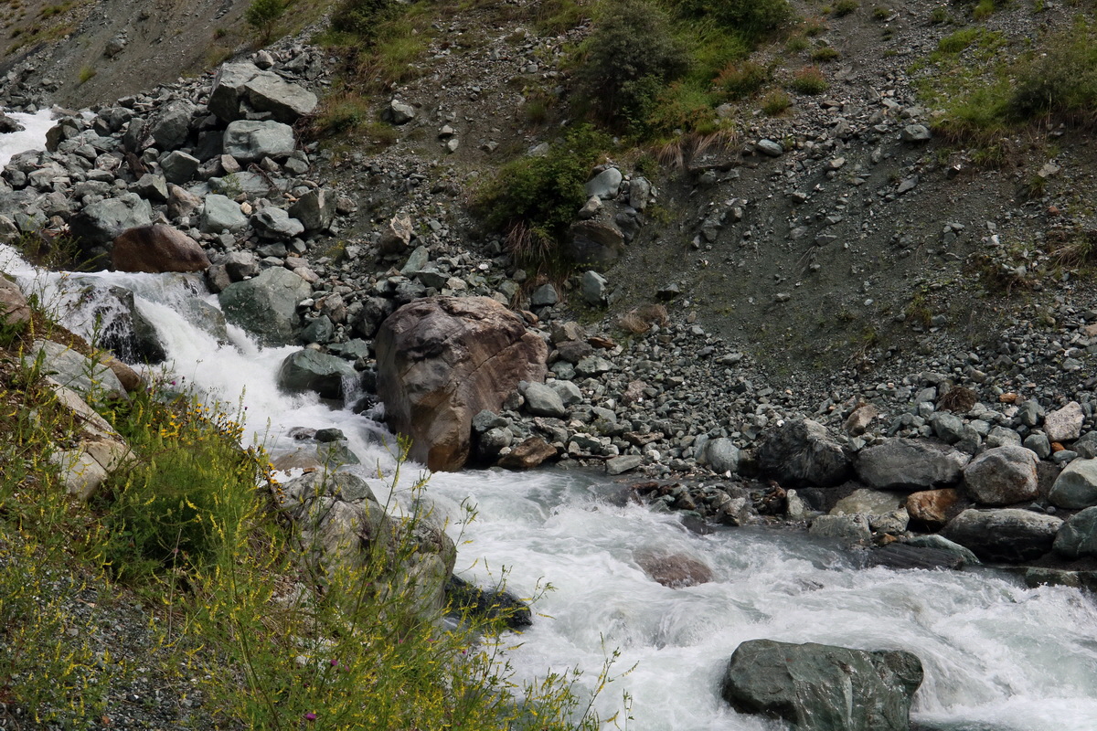 2017_06_29_036047p_Bildgr��e �ndern