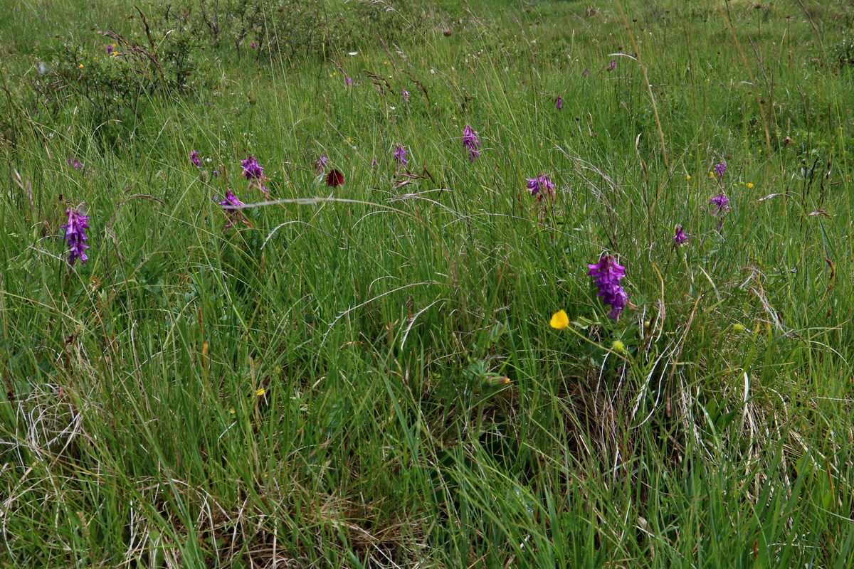 2017_06_29_036087p_Bildgr��e �ndern