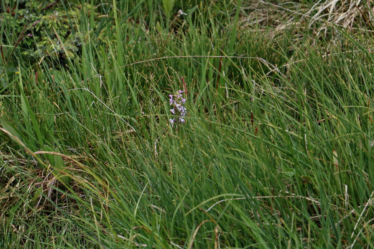 2017_06_29_036092p_Bildgr��e �ndern