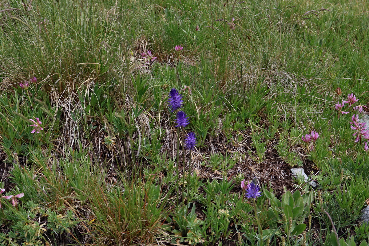 2017_06_29_036106p_Bildgr��e �ndern