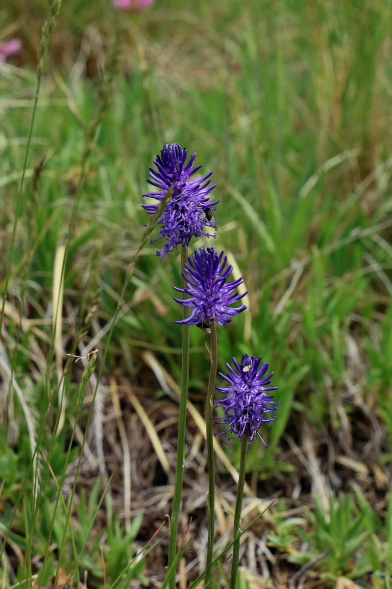 2017_06_29_036108p_Bildgr��e �ndern