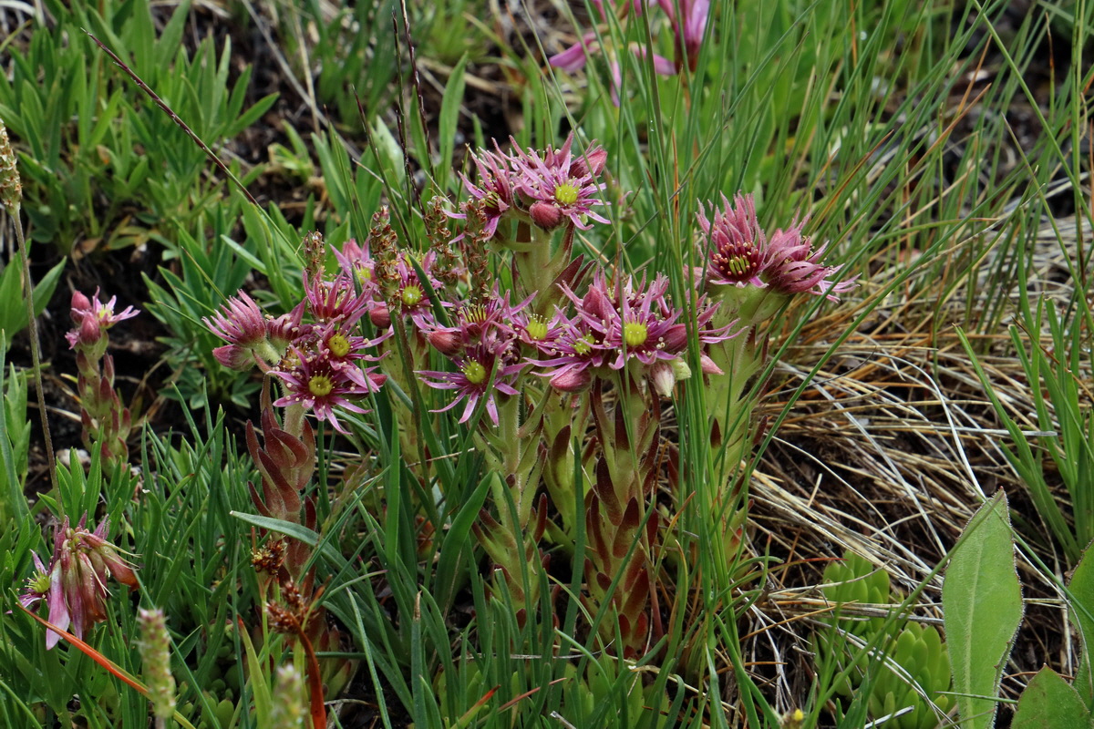 2017_06_29_036110p_Bildgr��e �ndern