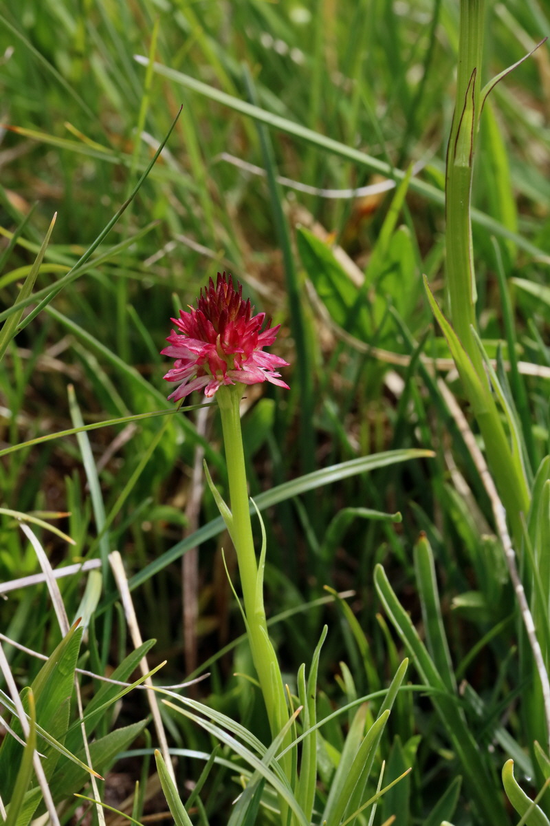 2017_06_29_036124p_Bildgr��e �ndern