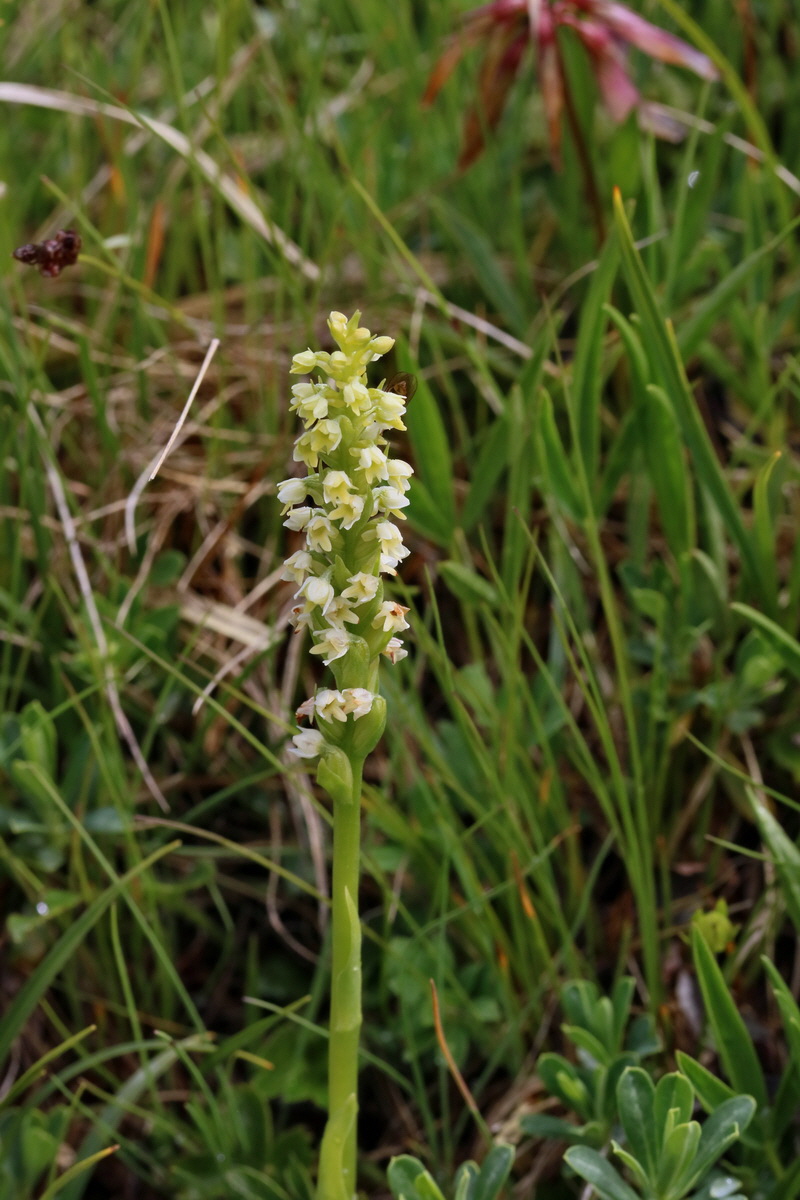 2017_06_29_036131p_Bildgr��e �ndern