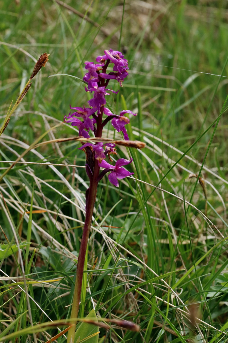 2017_06_29_036141p_Bildgr��e �ndern