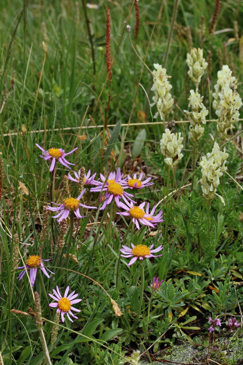 2017_06_29_036143p_Bildgr��e �ndern