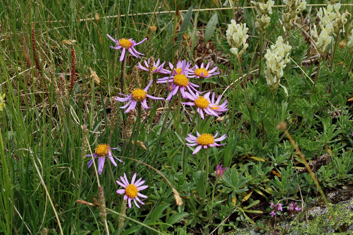 2017_06_29_036147p_Bildgr��e �ndern