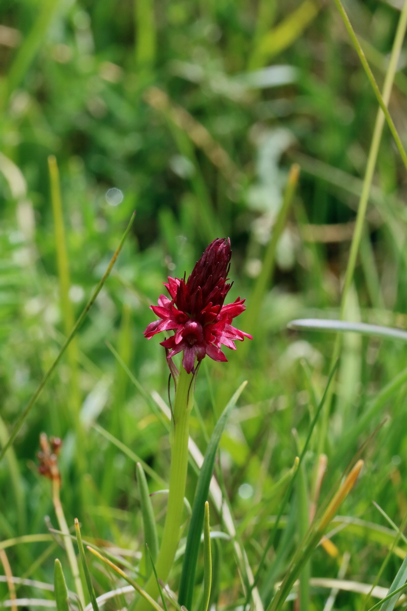 2017_06_29_036150p_Bildgr��e �ndern