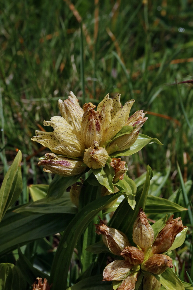 2017_06_29_036171p_Bildgr��e �ndern