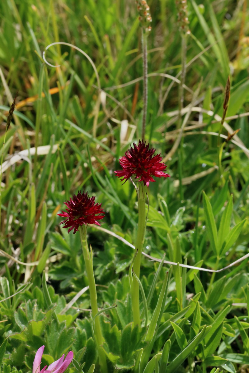 2017_06_29_036176p_Bildgr��e �ndern