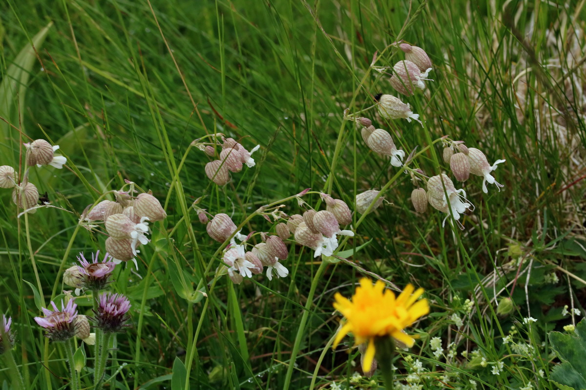 2017_06_29_036195p_Bildgr��e �ndern