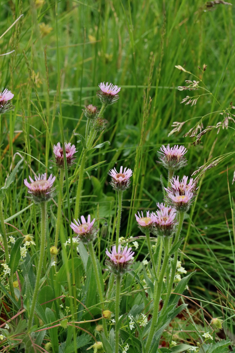 2017_06_29_036201p_Bildgr��e �ndern