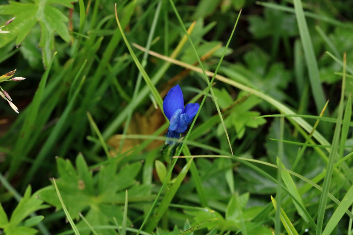 2017_06_29_036205p_Bildgr��e �ndern