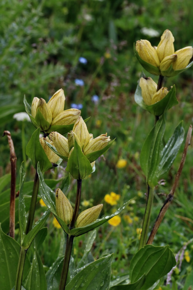 2017_06_29_036211p_Bildgr��e �ndern