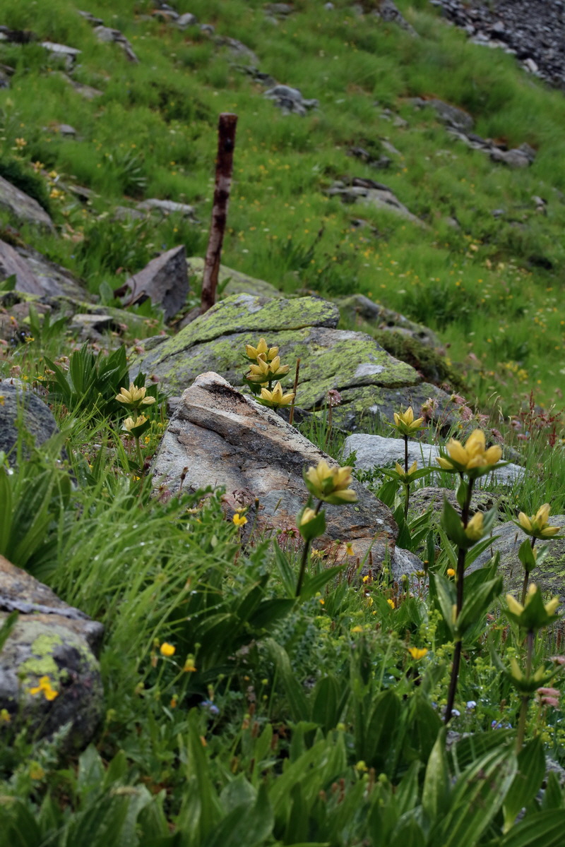 2017_06_29_036215p_Bildgr��e �ndern