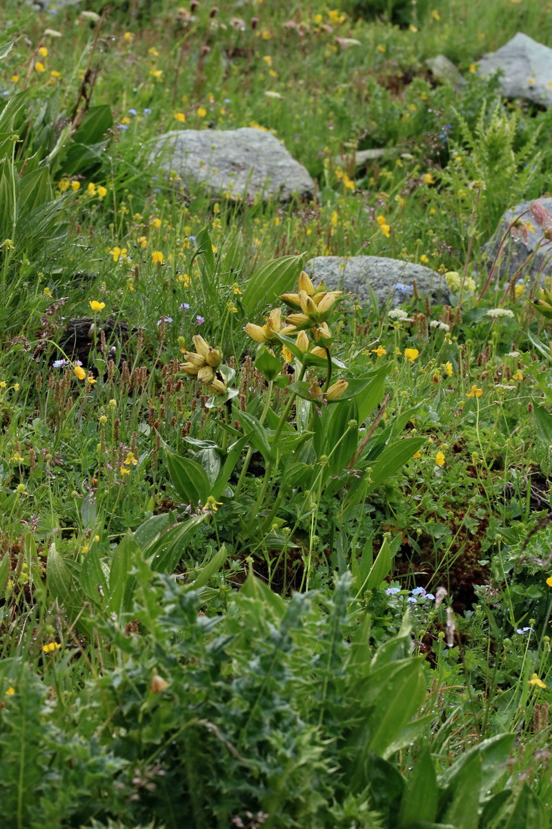 2017_06_29_036218p_Bildgr��e �ndern