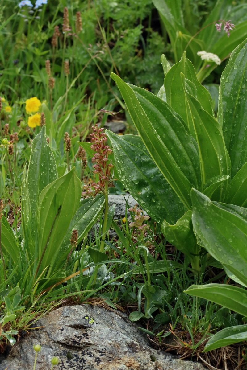 2017_06_29_036220p_Bildgr��e �ndern