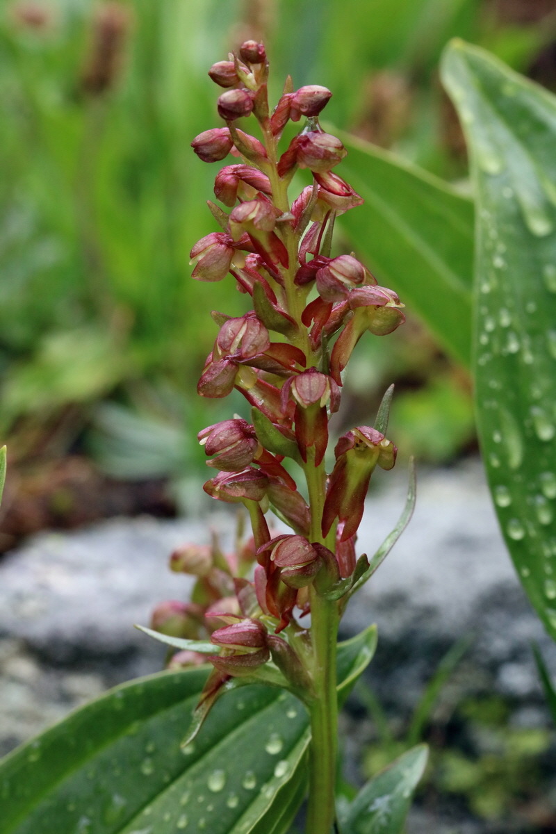 2017_06_29_036223p_Bildgr��e �ndern