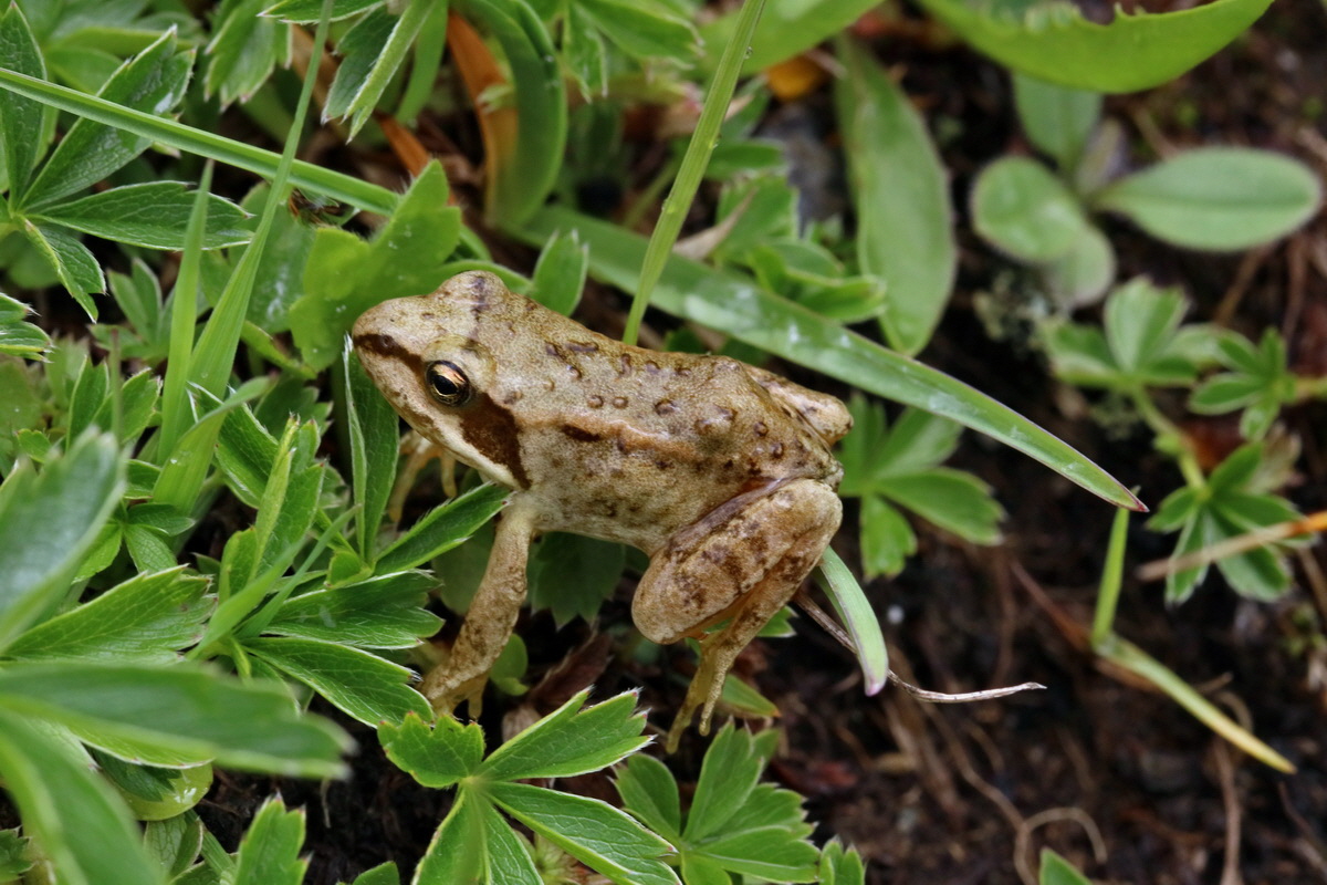 2017_06_29_036233p_Bildgr��e �ndern